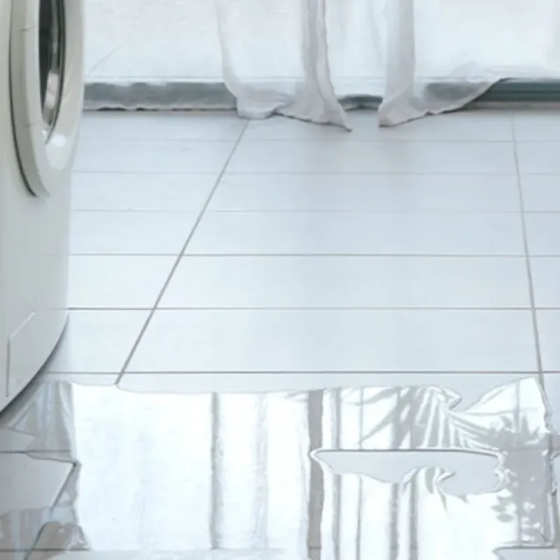 Appliance Leak Cleanup in Charlton, MA
