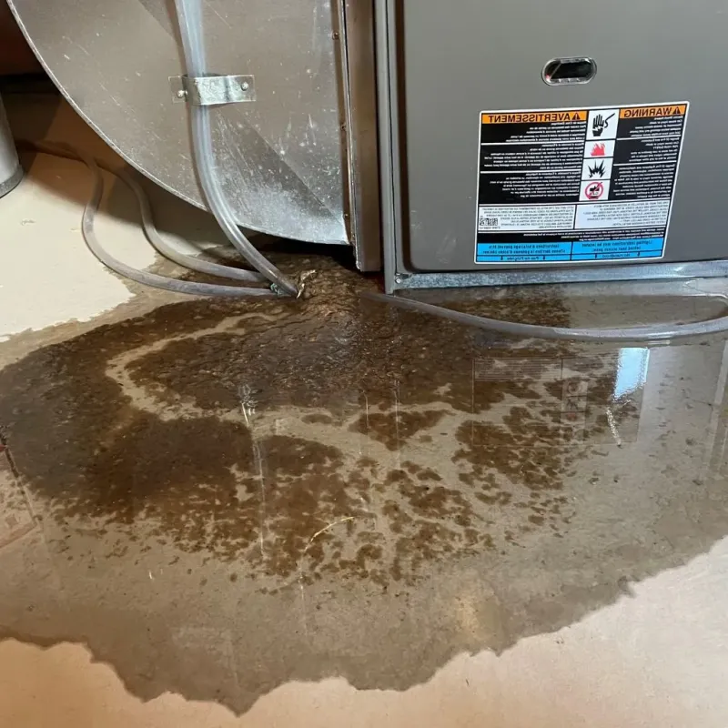 Pipe Burst and Leak Restoration in Charlton, MA