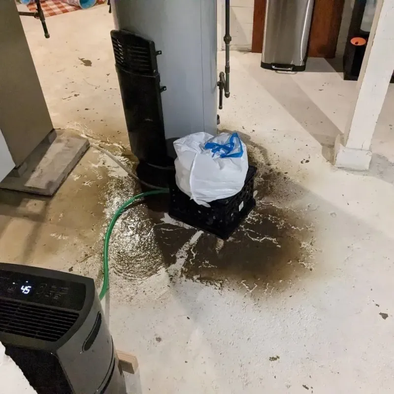 Sewage Backup Cleanup Service in Charlton, MA